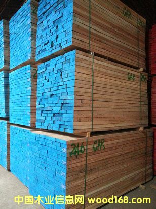 �t�ϙ�CAR ��ɰ�ĵ�Ԕ��(x��)��B