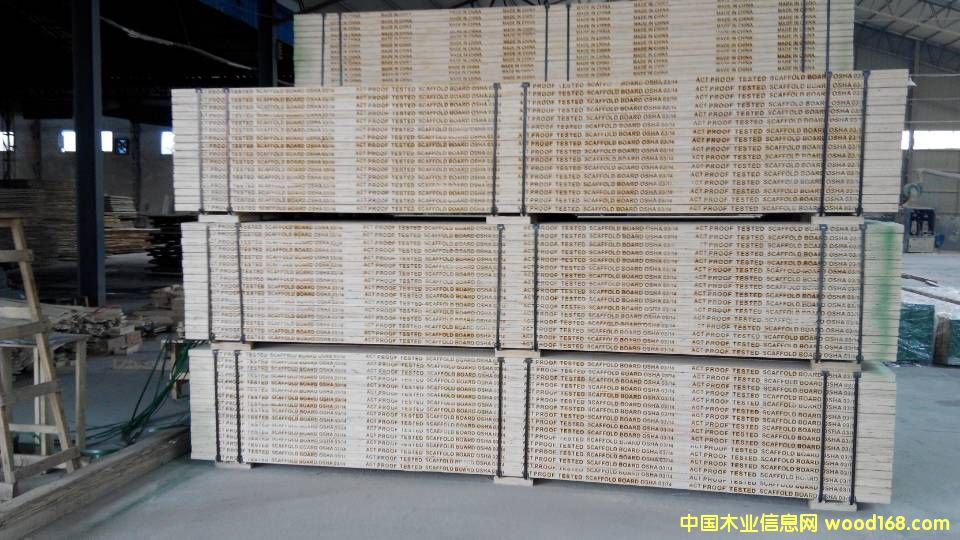 [��] �����Ж| �_(t��i)�� �Ĵ����� �����؅^(q��) OSHA�J(r��n)�C ��ľ�_̤�� ��ľ�N�� 