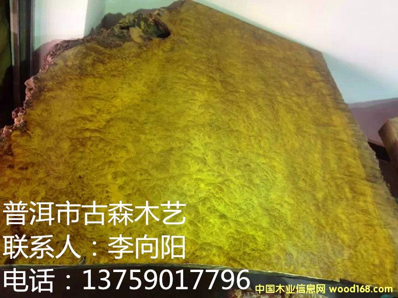 ��z�ľ������  �k����X��  