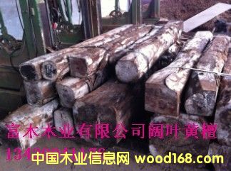 ��~�S̴ԭľ��Ԕ��(x��)��B