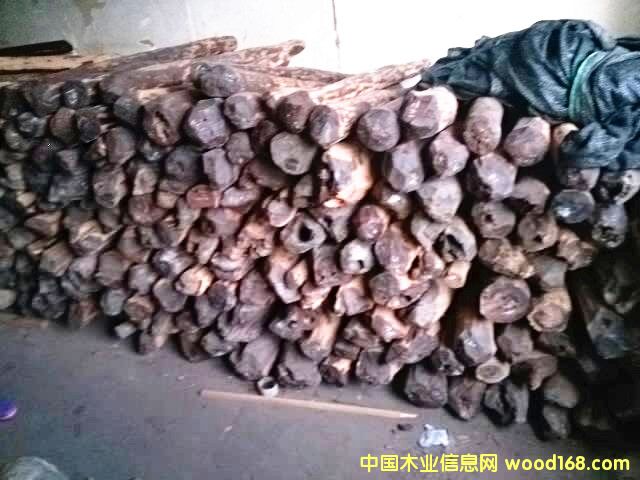 小葉紫檀的詳細(xì)介紹