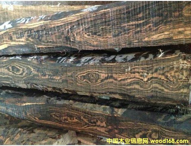 �����V����(y��u)�|����ľ��Ԕ����B