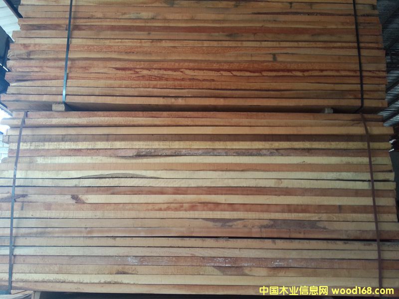 楠木的詳細(xì)介紹