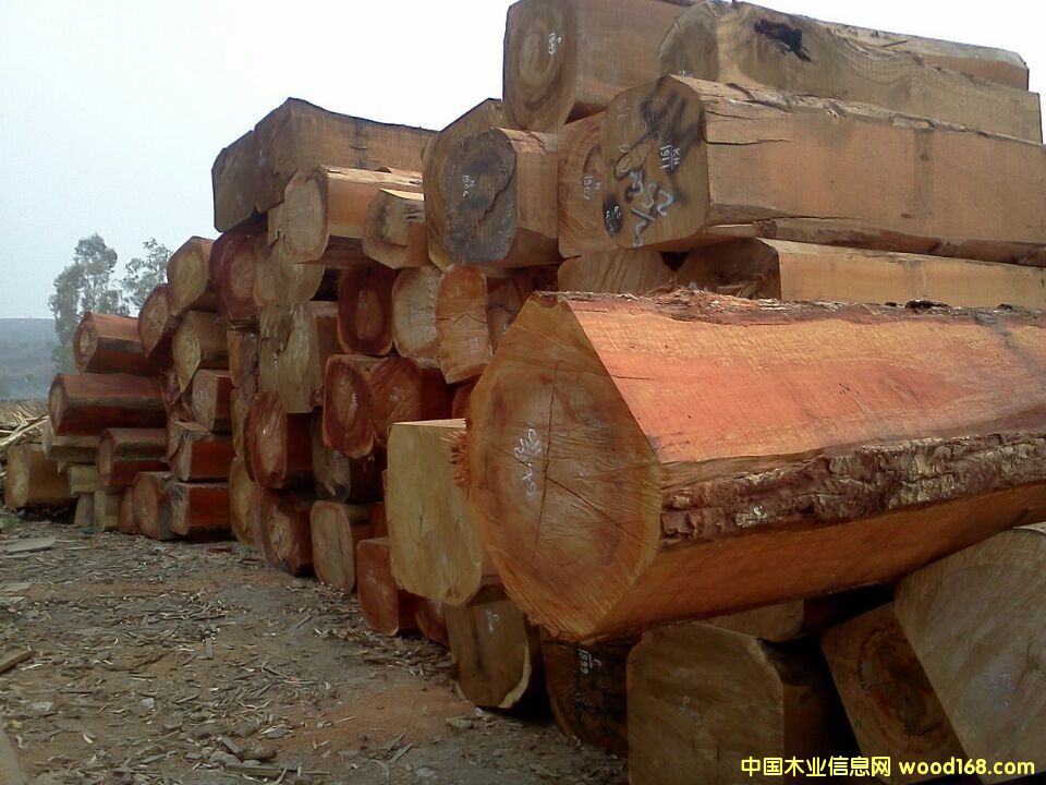 �����̴��̩���㻨�棩��Ԕ��(x��)��B