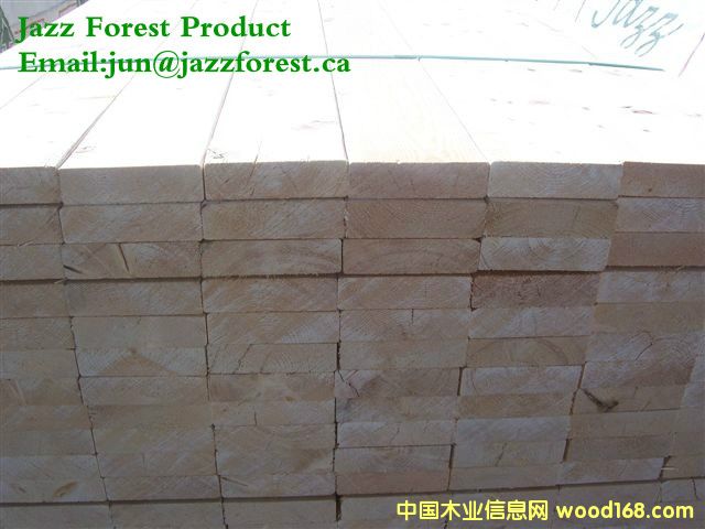 SPF��Ԕ��(x��)��B