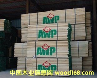 �t��ľ��Ԕ��(x��)��B