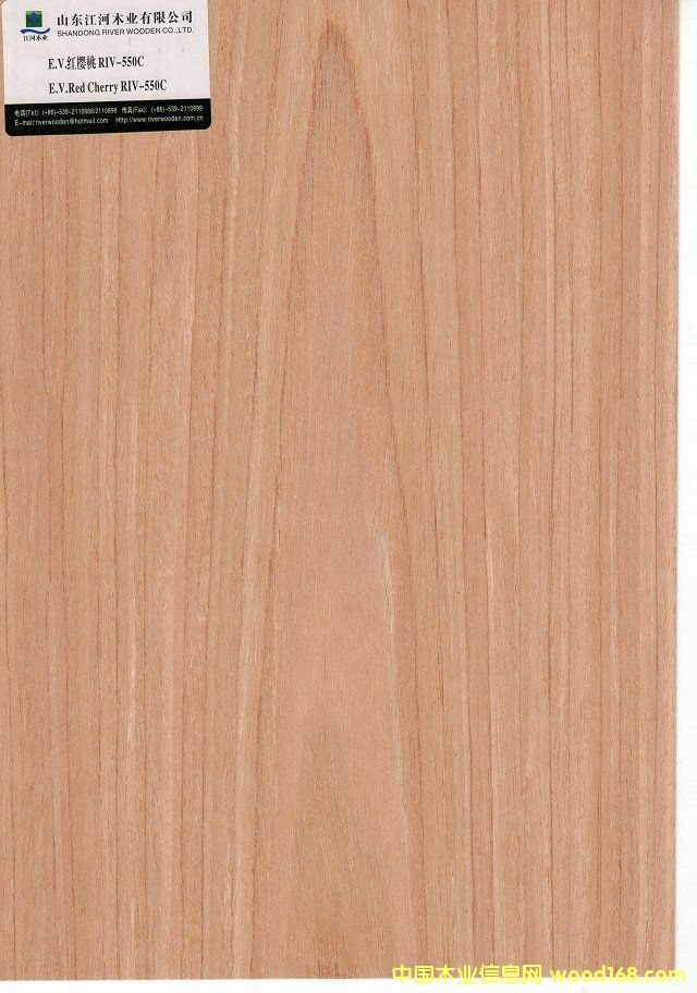 �t����550C