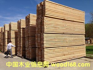 ��(y��u)�|(zh��)ݗ���ɺ�ɰ�ĵ�Ԕ����B