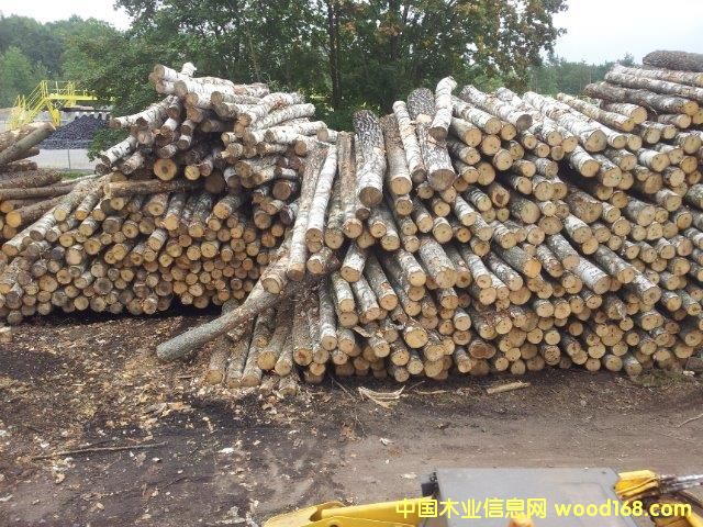 ��ľԭľ��Ԕ����B