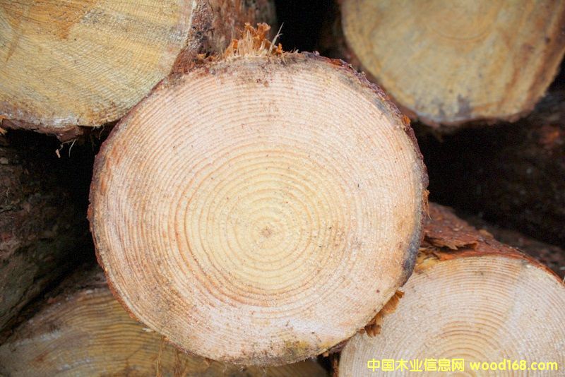 ��ɼ��Ԕ����B