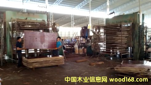 �V��һ������ģ��