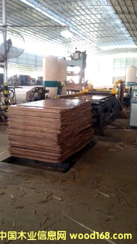 �V��һ������ģ��