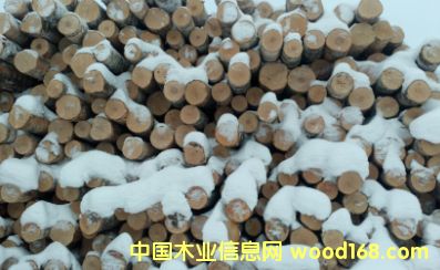 ���_˹���м�(j��)��ľ3