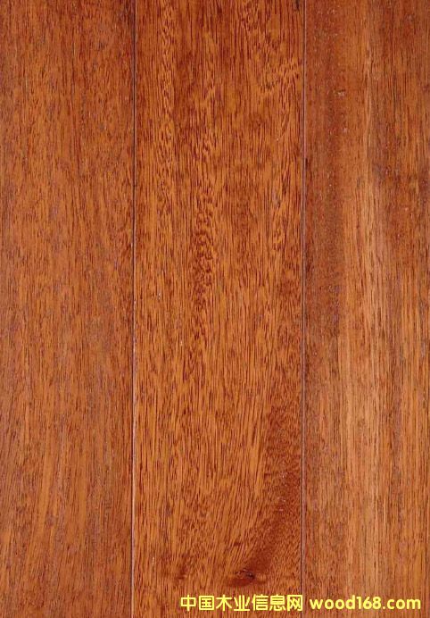 ɽ�|���}��r(ji��)��