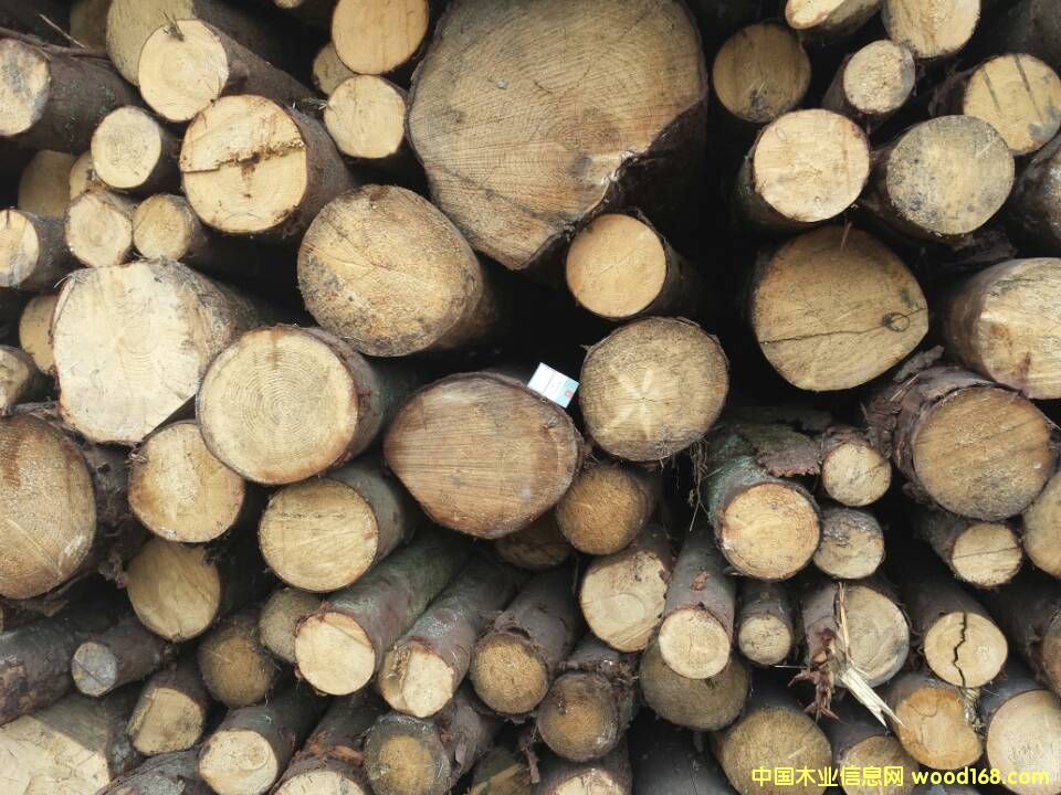 �W����ɼԭľ  ֱ����10cm-19cm��Ԕ��(x��)��B