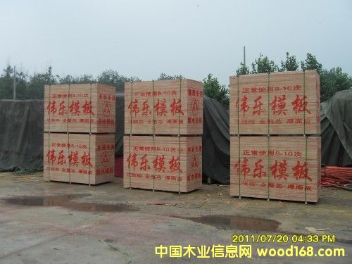 ���(y��ng)����ģ��ʲô���|(zh��)����