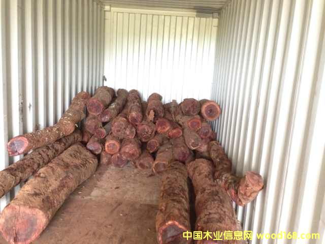 ٝ�ȁ�Ѫ̴ԭľ��Ԕ��(x��)��B