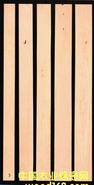 SCL����ľɰ���� S��ɫ���Ԕ��(x��)��B