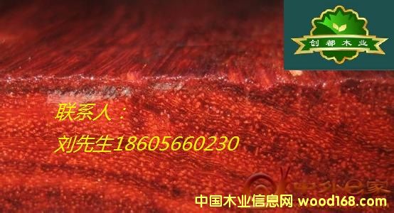 Ѫ̴��Ԕ��(x��)��B