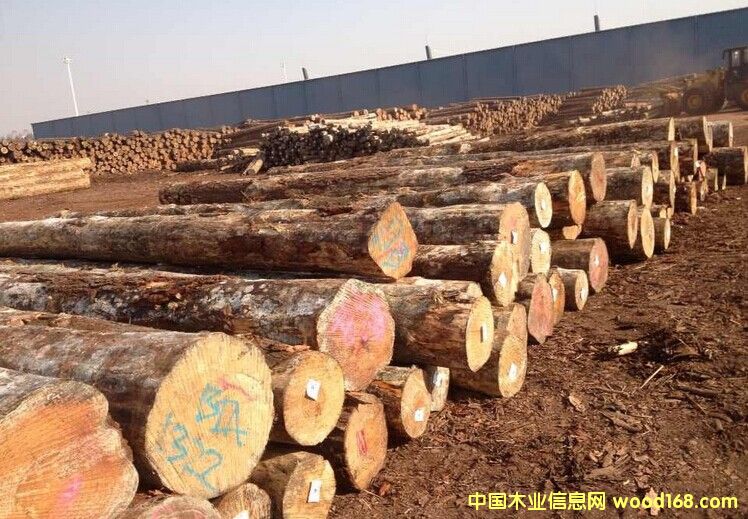 �Ĵ�������ľ/���ɵ�Ԕ��(x��)��B