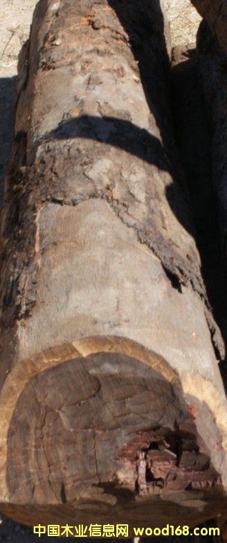 血檀的詳細(xì)介紹