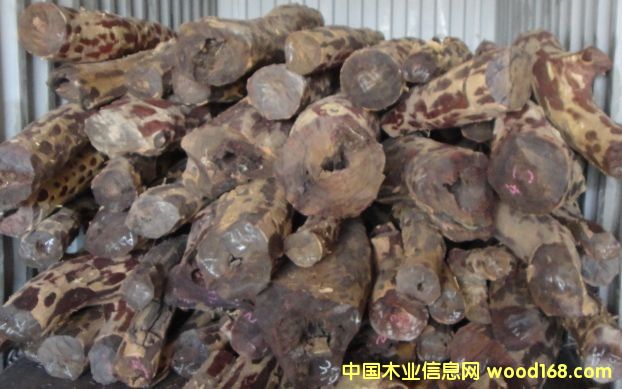 ٝ�ȁ�Ѫ̴��Ԕ��(x��)��B