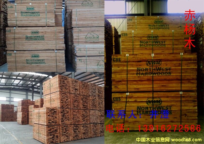 ���Alder����Ԕ��(x��)��B