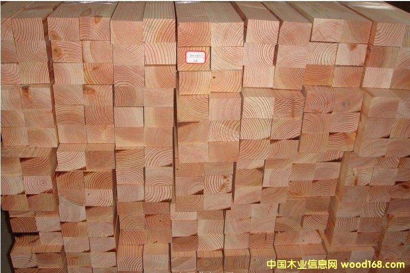 ������/ �����Sɼ