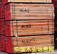 ����ľ��Ԕ��(x��)��B