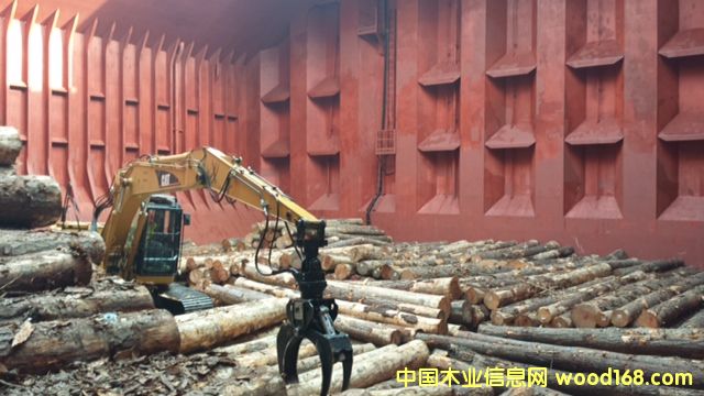 �Ϸ��� Southern Yellow Pine logs ��Ԕ��(x��)��B