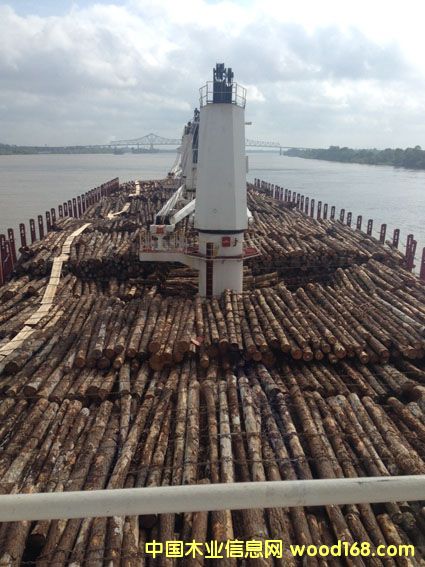 ��ľ����ľ����ľ