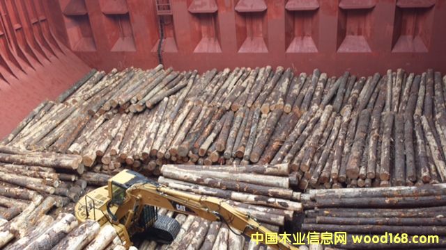 �Ϸ��� Southern Yellow Pine logs 