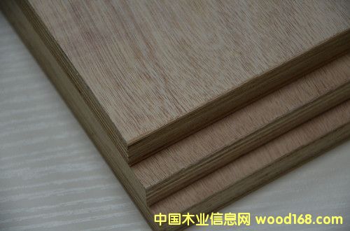 12mm�oȩ������Ԕ����B