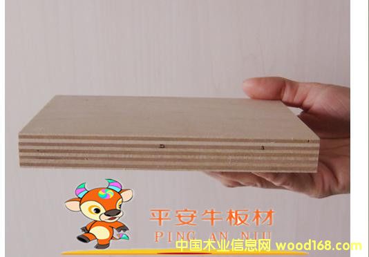 12����Ӱ��������z�ϰ���ƽ��ţ�Ƶ�Ҿ߰��