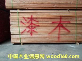 ���_�T����ľ��Ԕ��(x��)��B