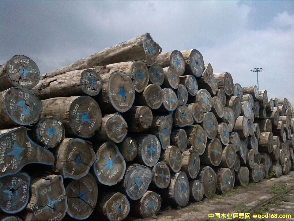 �t�����Ԕ��(x��)��B