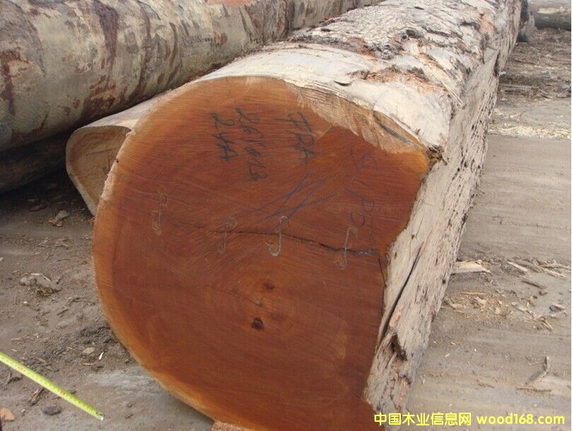 ���ֵ�Ԕ��(x��)��B