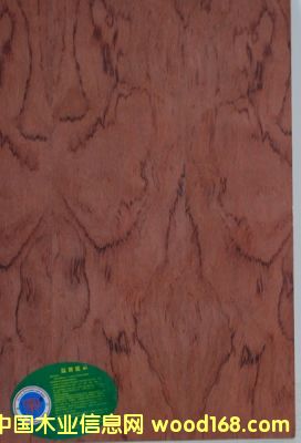 �N����Ԕ��(x��)��B