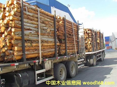 �M(j��n)����䣨�����ޣ�