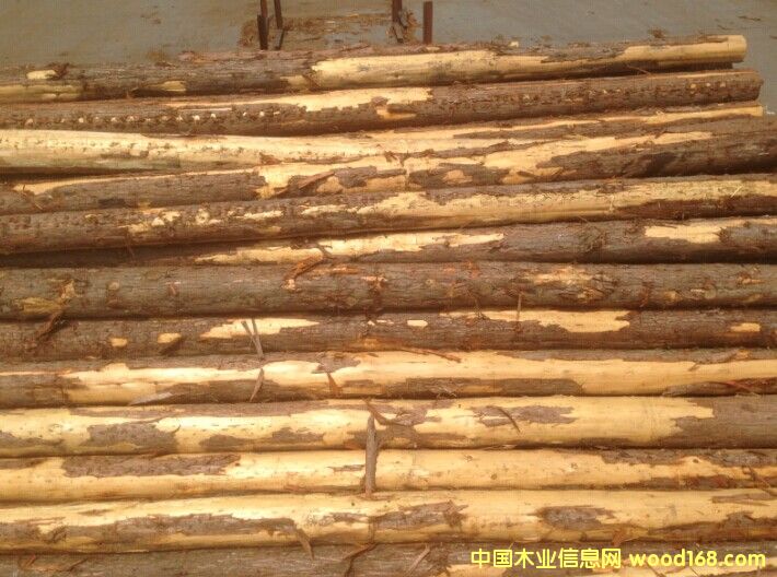 ��ɼԭľ��Ԕ����B