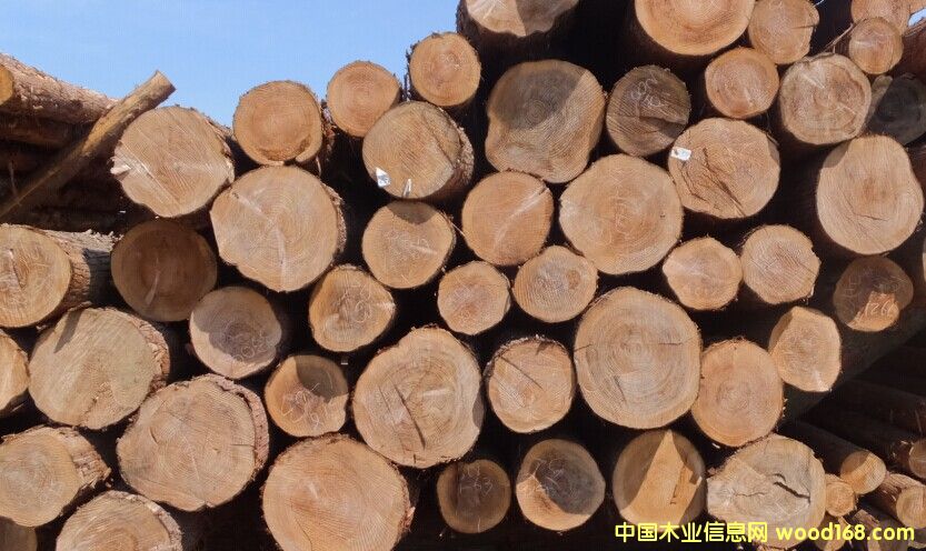 �uľ��Ԕ����B