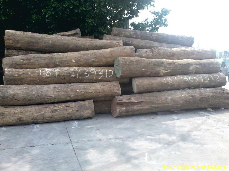 香花梨的詳細(xì)介紹