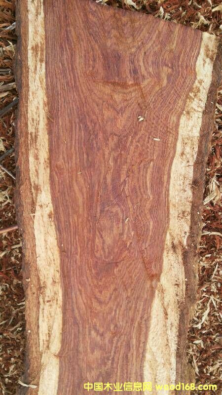 �ȽB�����̴��Ԕ��(x��)��B