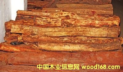 �S����PͲ�����Ѽ���