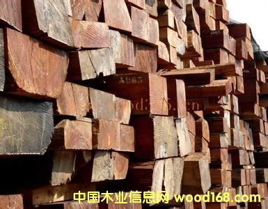 �ǄPԴľ�I(y��)�̓r(ji��)����(y��ng)�M(j��n)�� �W����ԭľ��