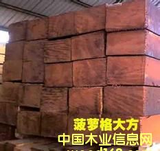 �ǄPԴľ�I(y��)�̓r������С�� �Џ� �󏽣����}�񣨰��£�