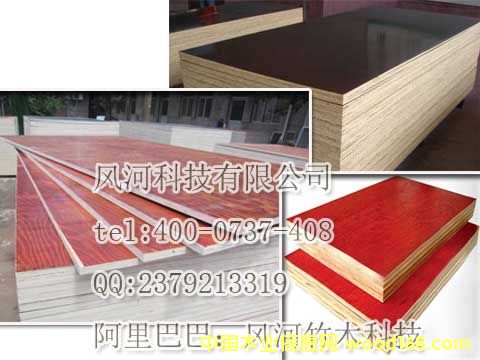 �L(f��ng)����ľ�Ƽ������z��