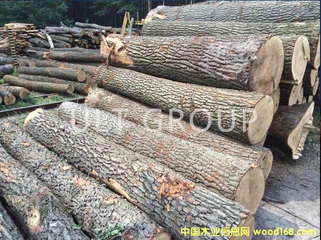 ����ԭľ��Ԕ����B