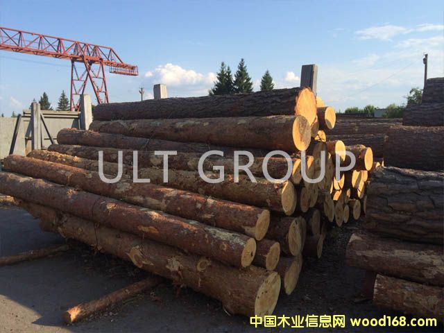 ������ԭľ��Ԕ����B