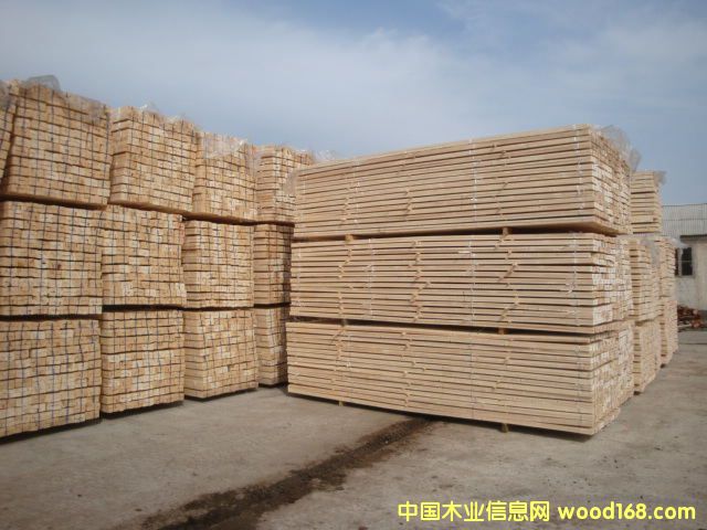 ���_˹����ľ������